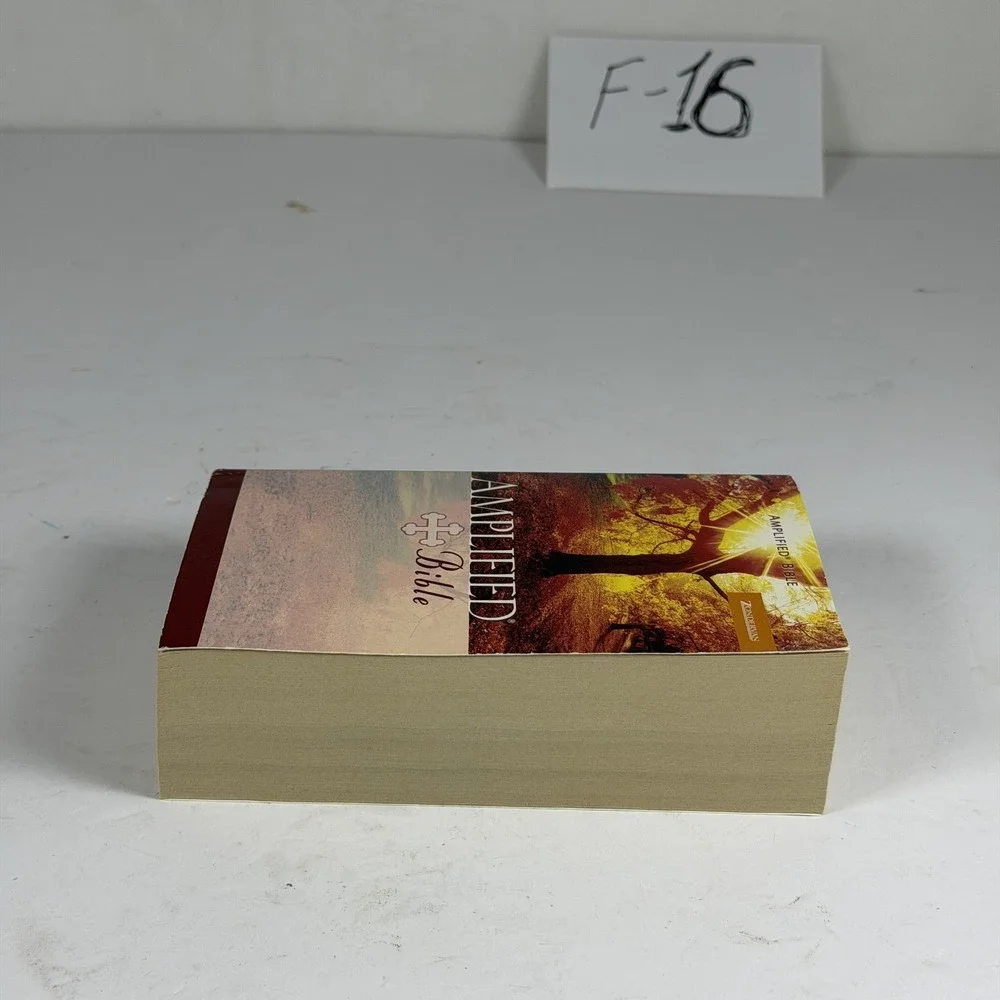 Amplified Bible Zondervan Compact Edition F-16